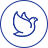 bbin·宝盈游戏(中国集团)官方网站首页